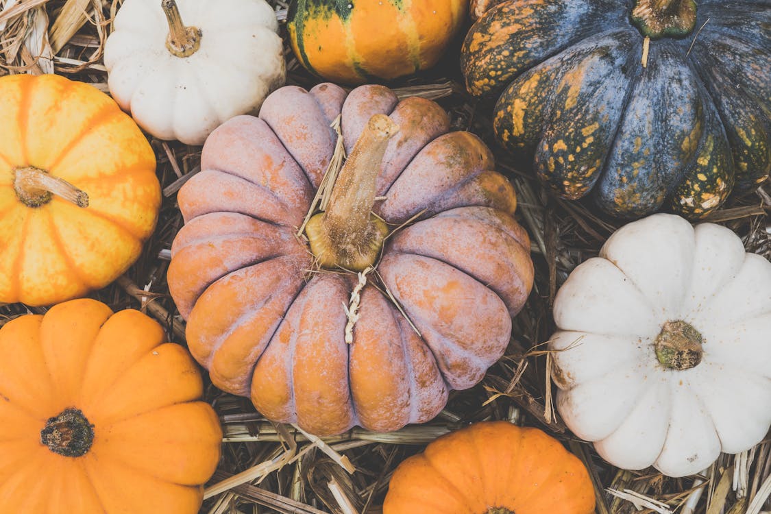 October 2023 Newsletter