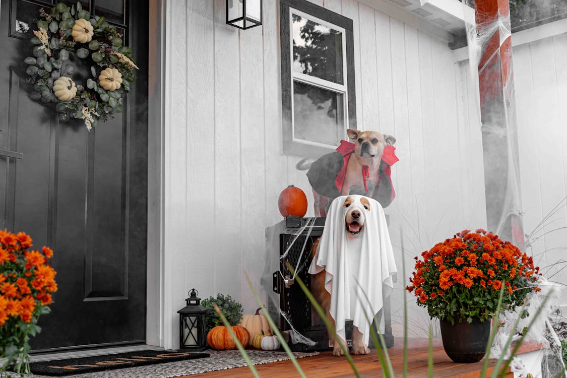 October 2024 Newsletter