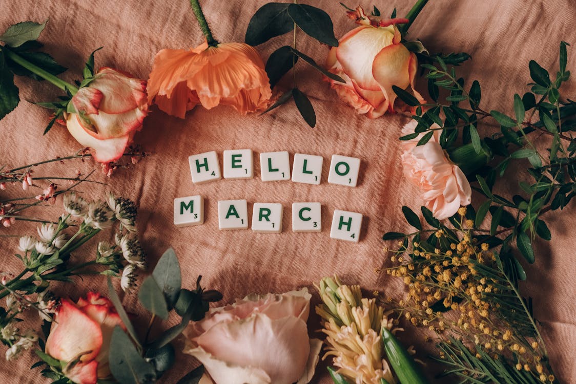 March 2025 Newsletter